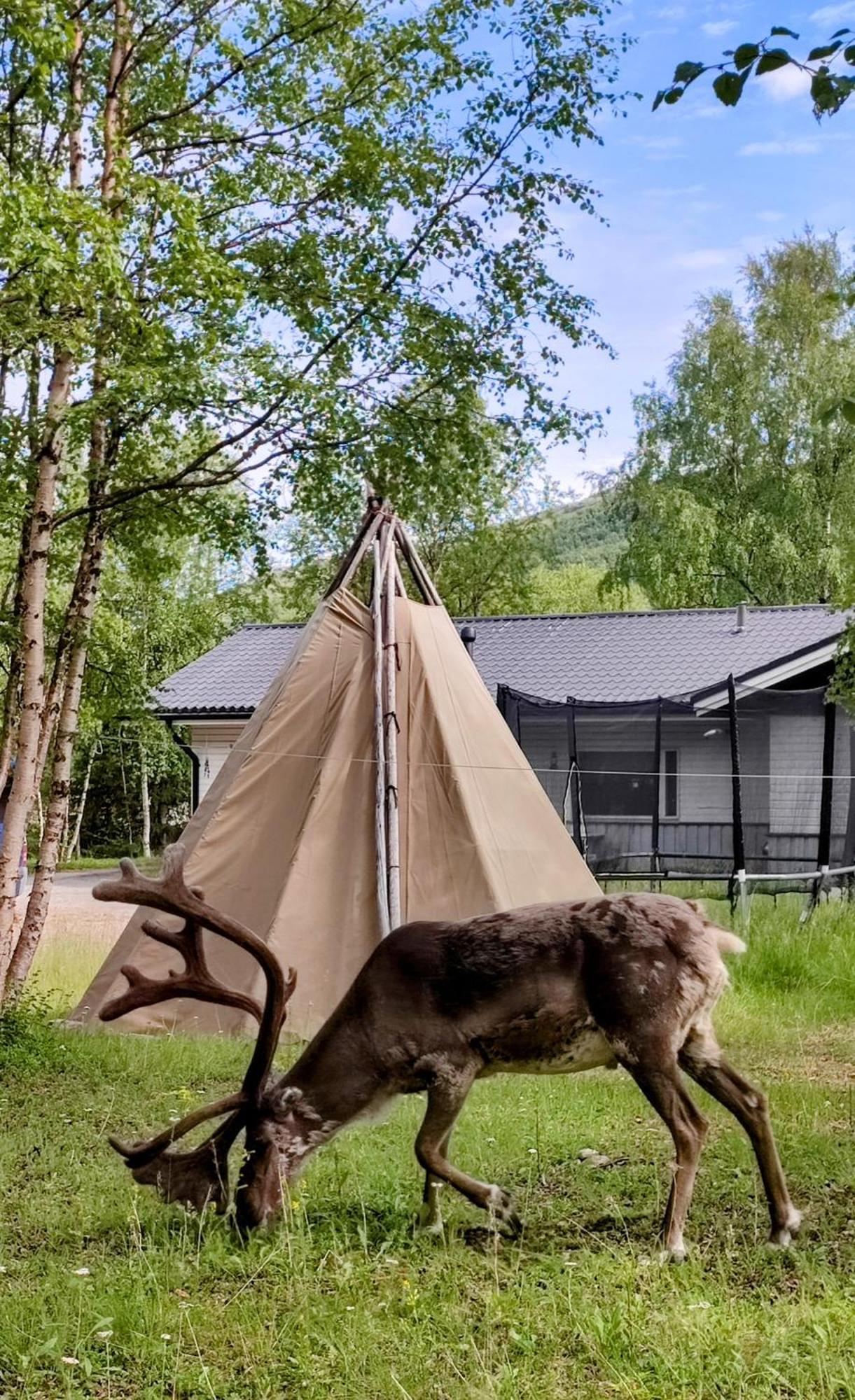 Maggala Apartments Utsjoki Eksteriør billede